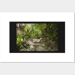 Niue walking track. Posters and Art